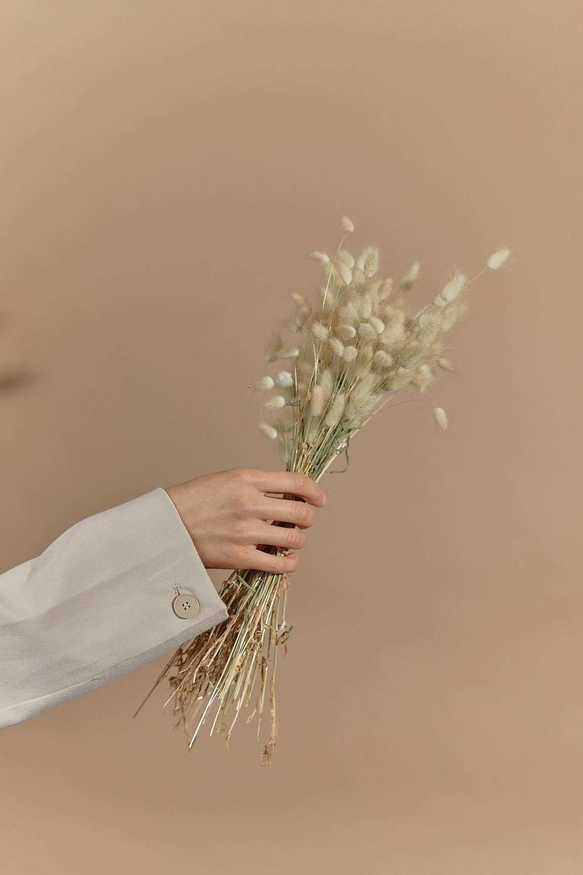 Natural dried lagurus - natural color bunny tails / wholesale dried flowers - Image 3